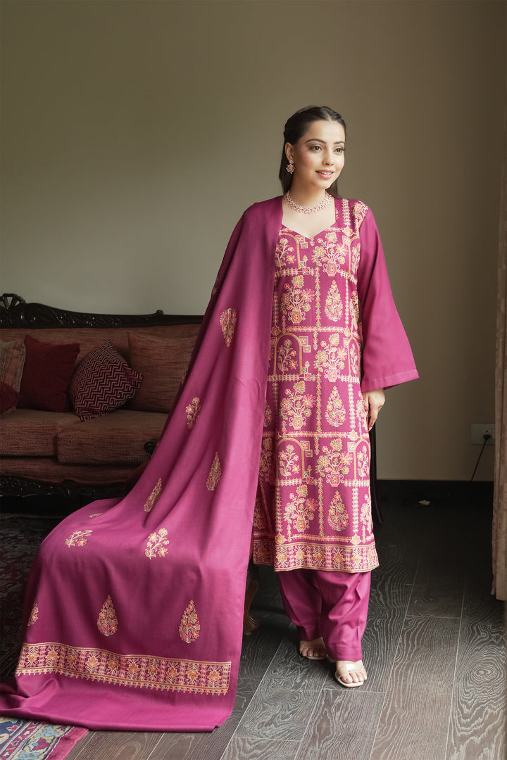 Kajol Jaal Embroidered Unstitched Suit