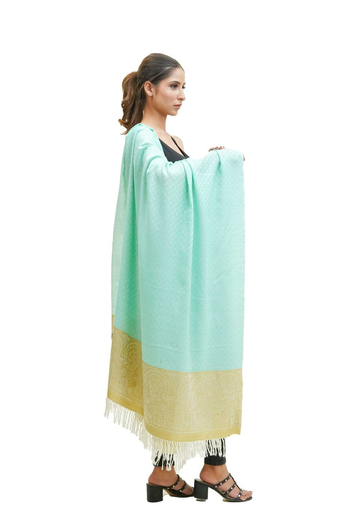 Silk Wool Jacquard Shawl With Elegant Palla