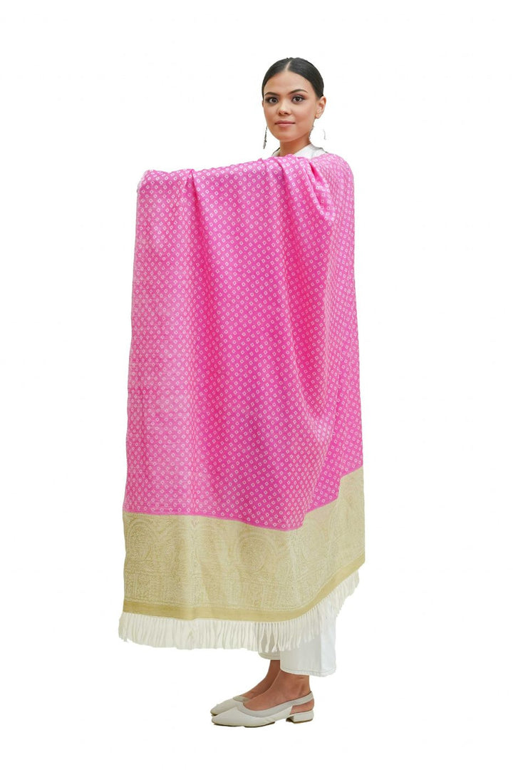 Silk Wool Jacquard Shawl With Elegant Palla