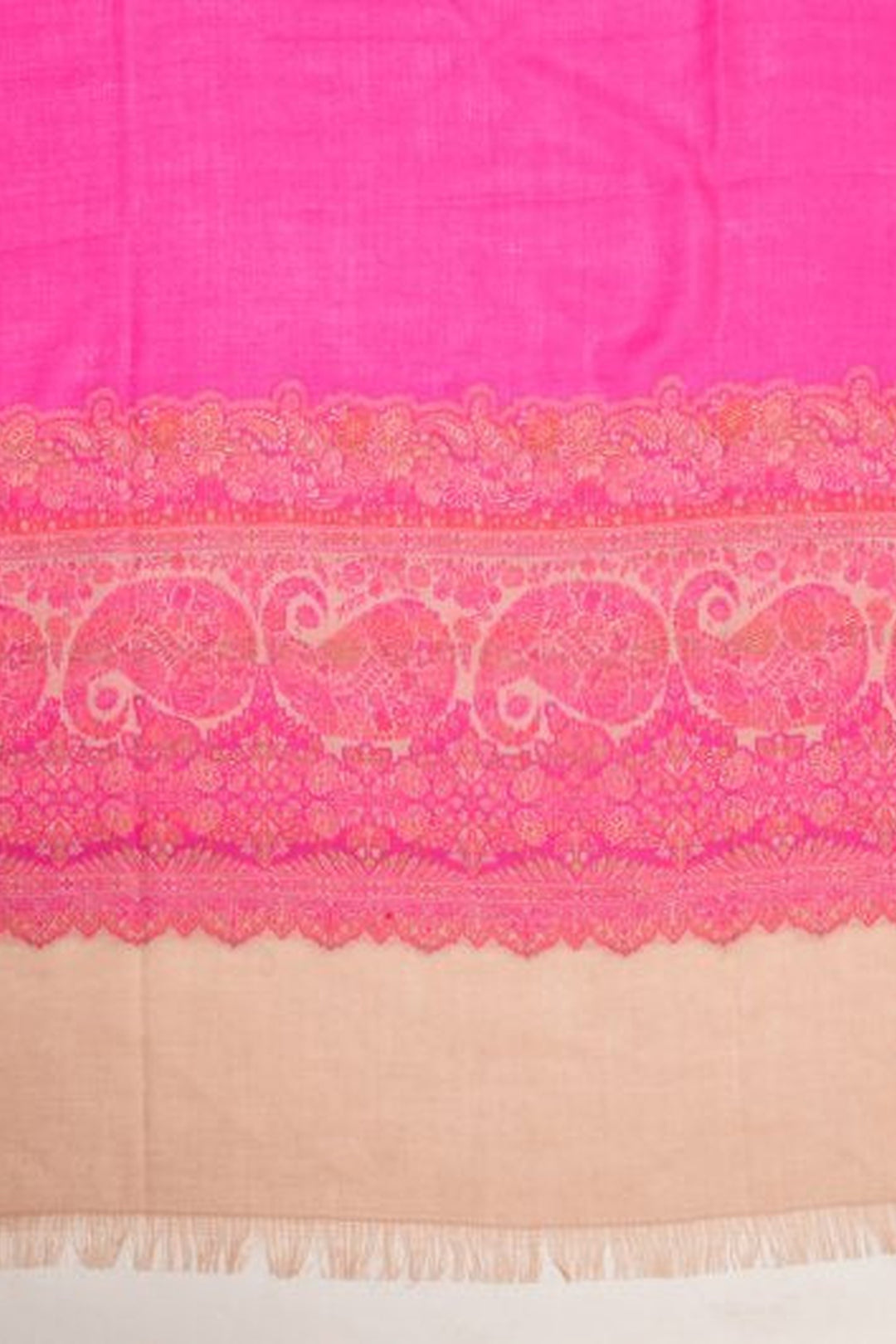 Contrast Palla Women's  Shawl With Border