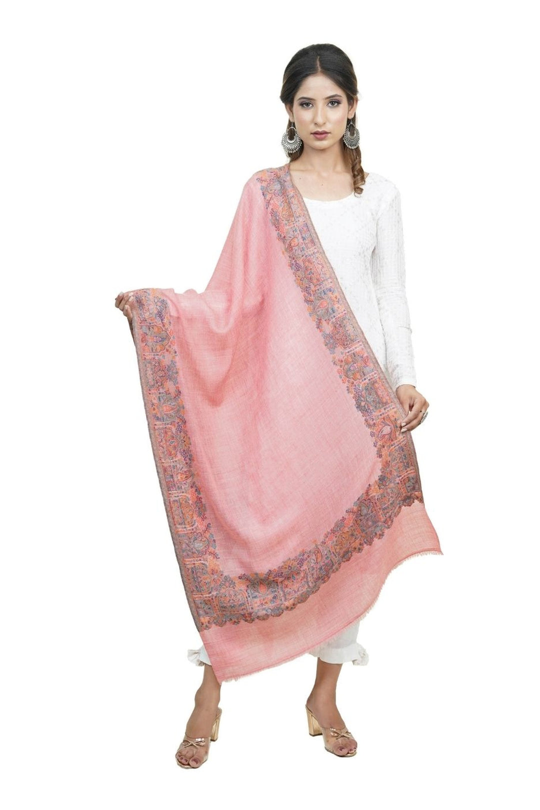Kani Women's Stole With Border Design