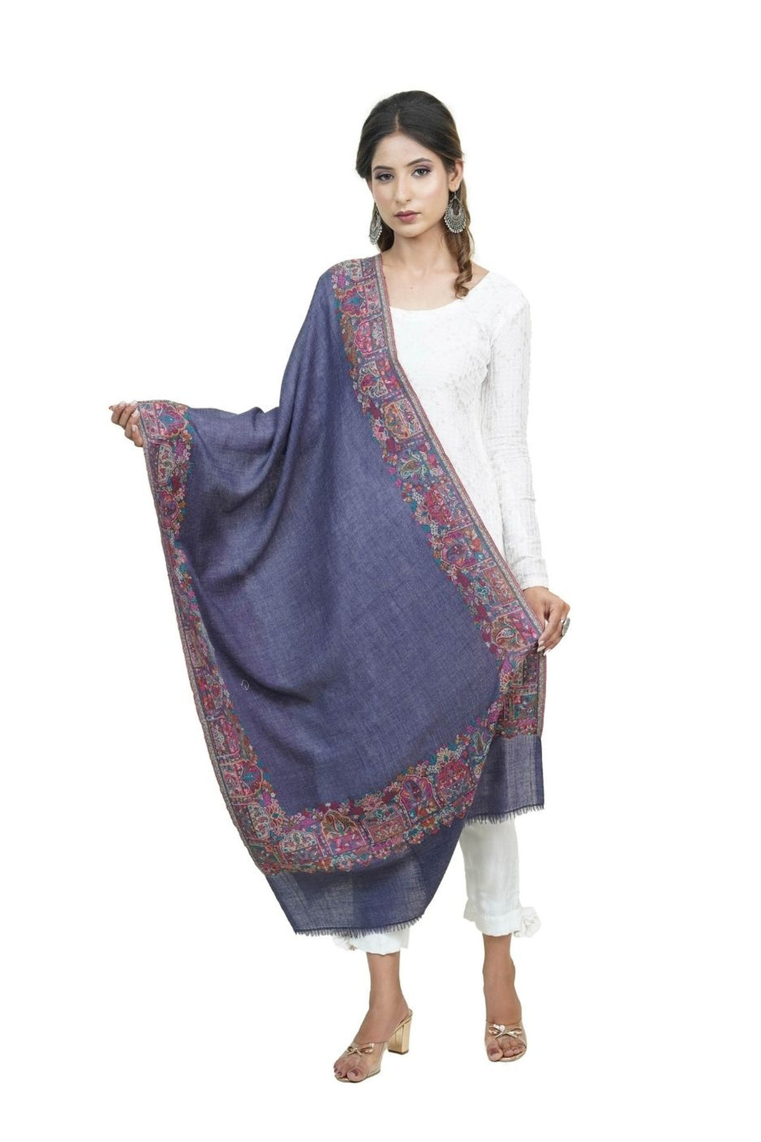 Kani Women's Stole With Border Design