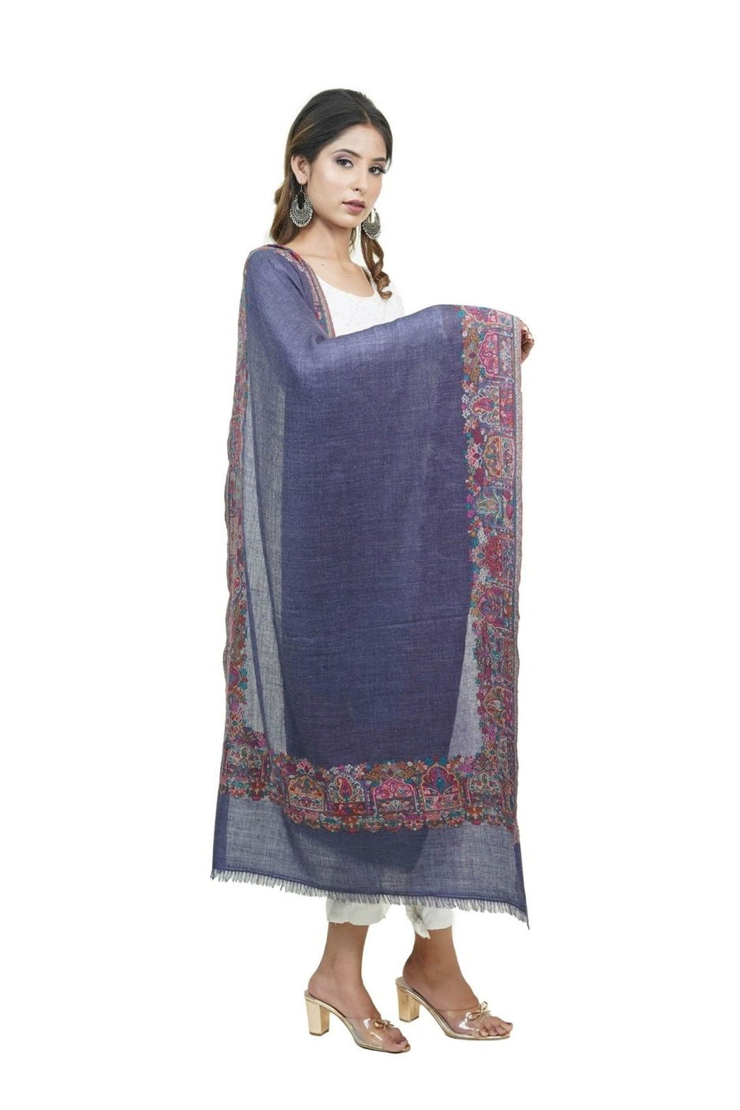 Kani Women's Stole With Border Design