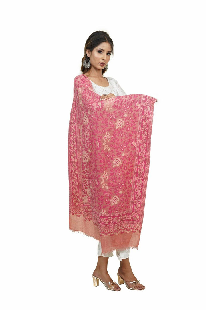 Kani Jaal Women's Stole