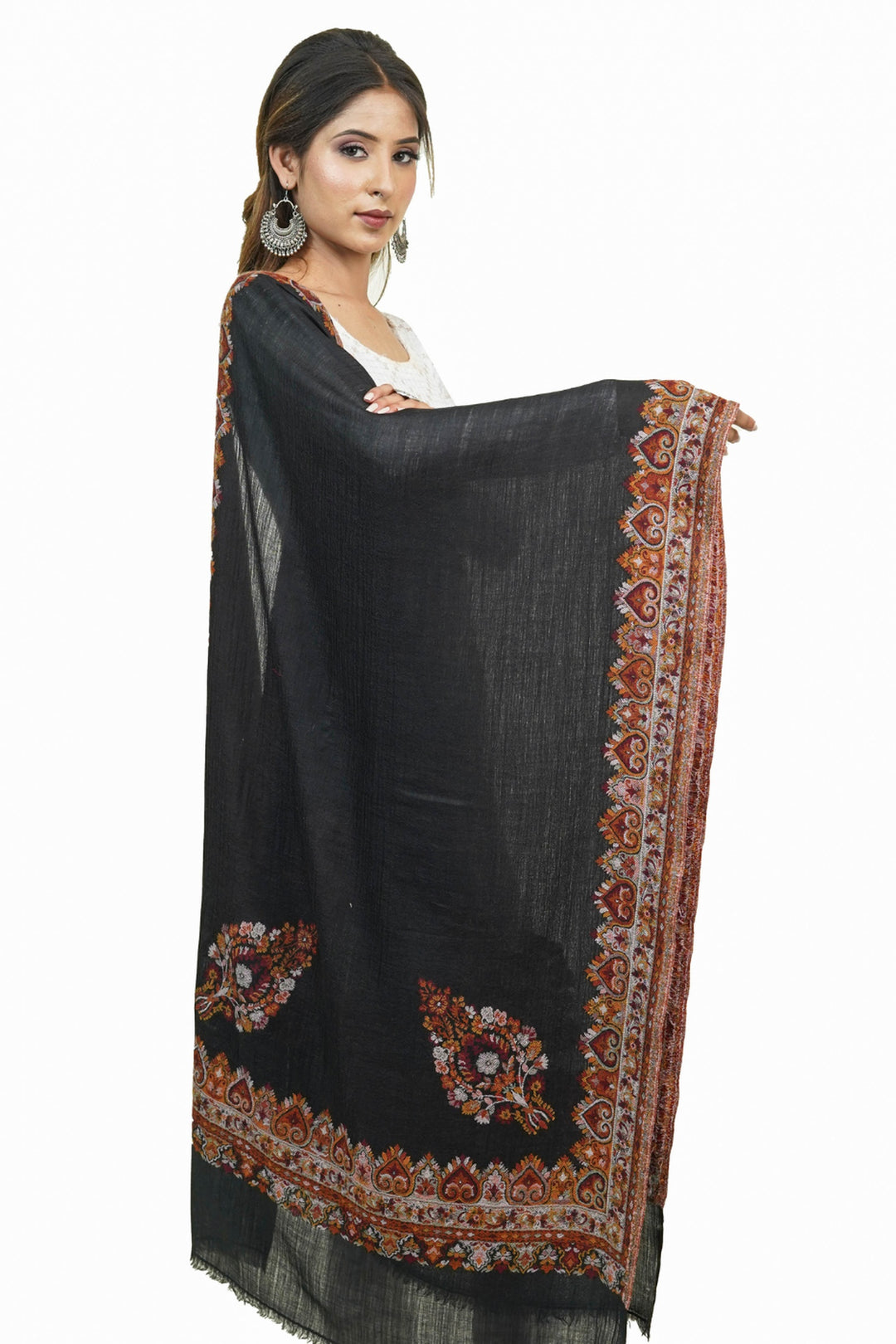 Beige  Kani Border Women's Stole
