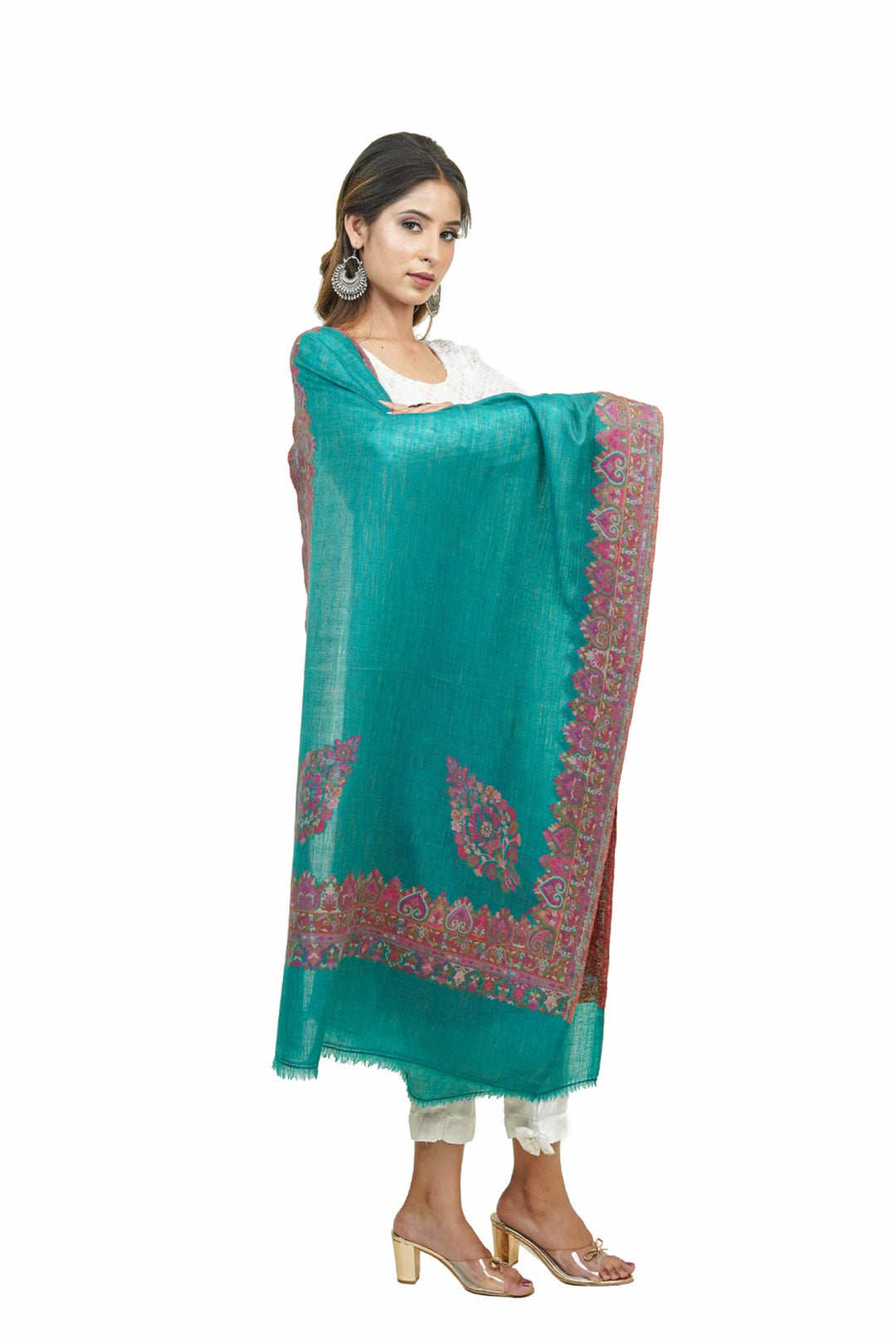 Beige  Kani Border Women's Stole