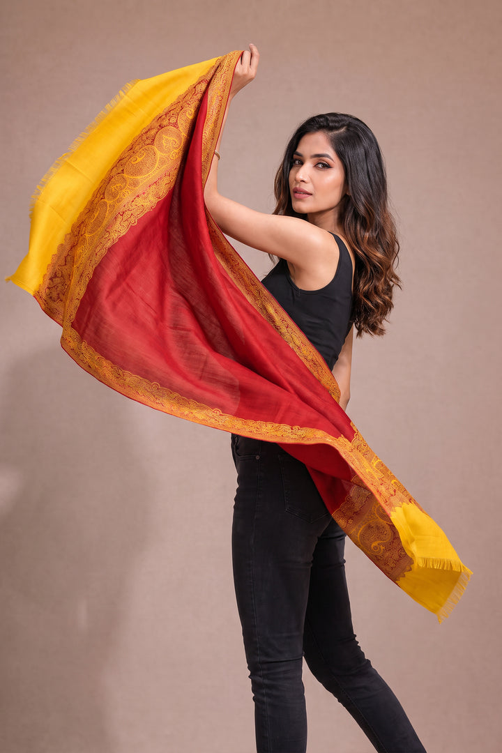Contrast Palla Women's  Shawl With Border