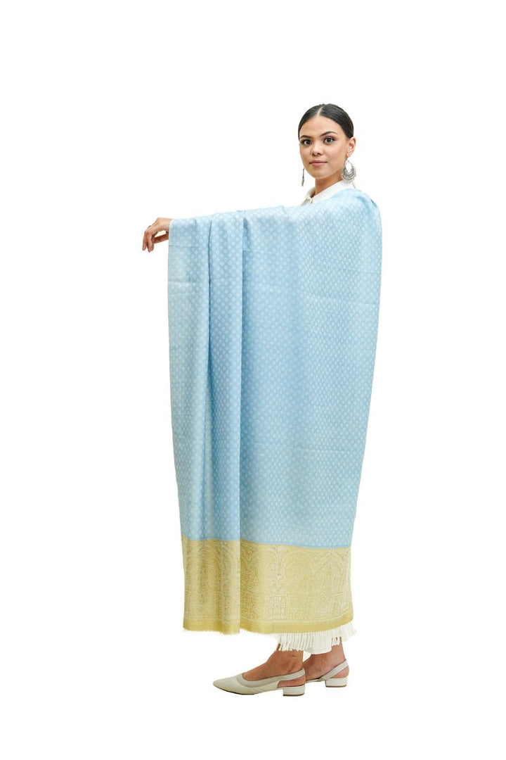 Silk Wool Jacquard Shawl With Elegant Palla
