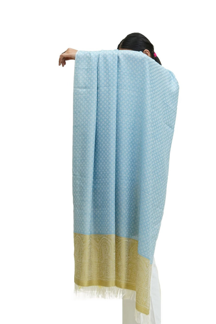 Silk Wool Jacquard Shawl With Elegant Palla