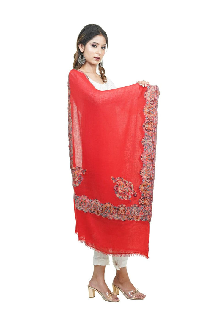Kani Border Design Women's Stole
