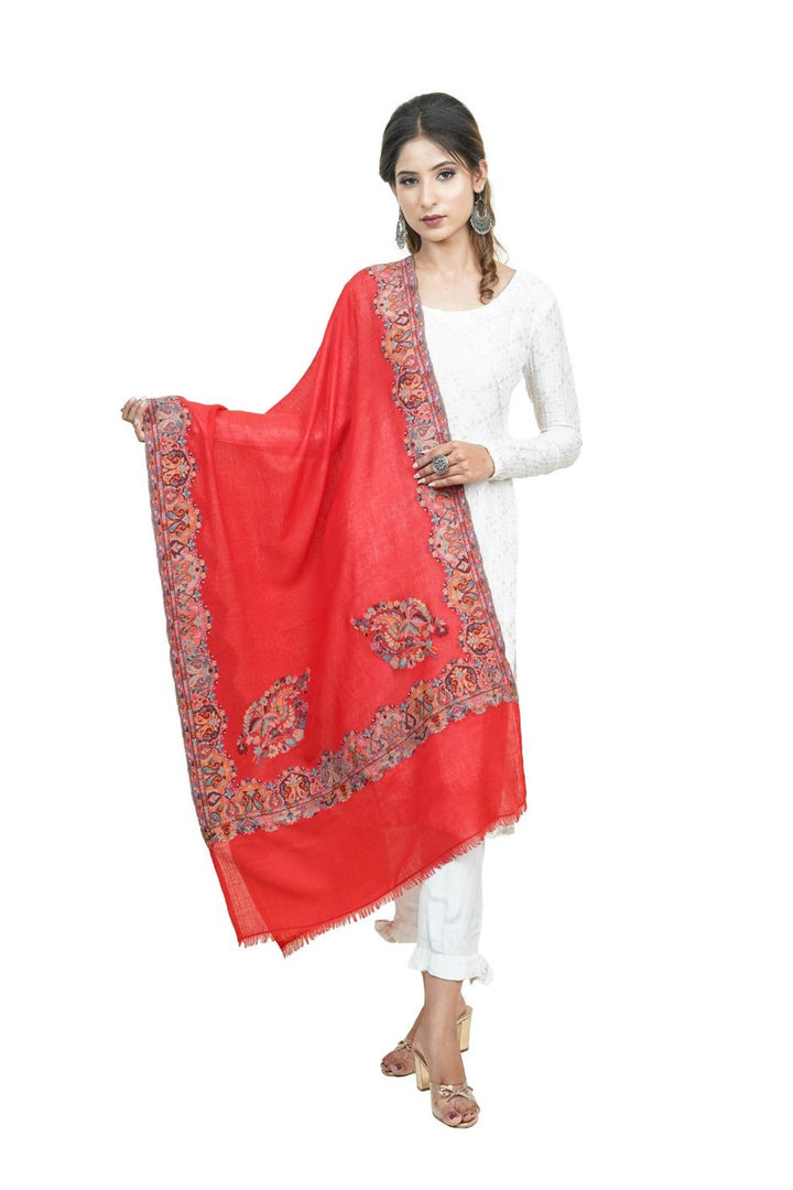 Kani Border Design Women's Stole